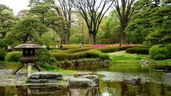 Картинка великолепного парка