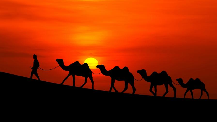 Арабский закат, ночь, верблюды, бедуин, пустыня