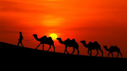 Арабский закат, ночь, верблюды, бедуин, пустыня