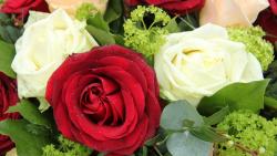 Белые и красные розы