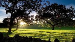 Великолепная природа на лугах