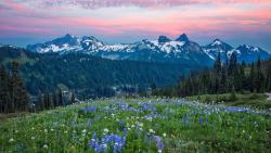 Гора в Вашингтоне Рейнир