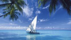 Кокосовые пальмы, синие облака, морской пейзаж, судно