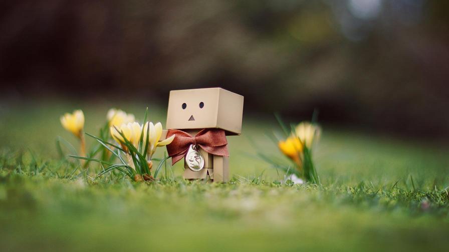 Коробочный человечек Данбо / Danbo