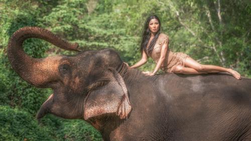 Красивая девушка на слоне обои HD