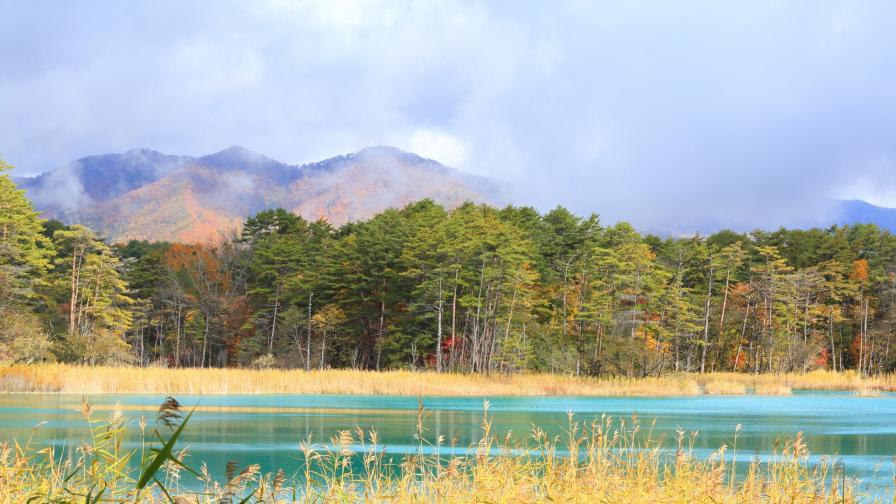 Лес, озеро, горы, небо, природа, картинки, обои , скачать