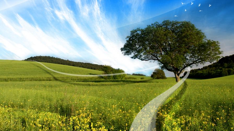 Летняя поляна широкоформатные HD обои скачать на рабочий стол