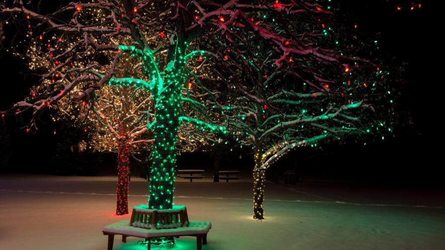 Новогоднее дерево, снег, зима, праздник, огни, фоны, заставки