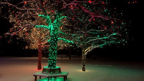 Новогоднее дерево, снег, зима, праздник, огни, фоны, заставки