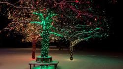 Новогоднее дерево, снег, зима, праздник, огни, фоны, заставки