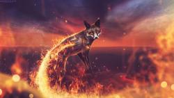 Огненный лис обои hd