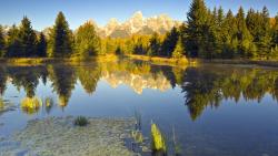 Озеро в лесу картинки на рабочий стол