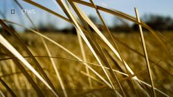 Поле широкоформатные HD обои скачать на рабочий стол