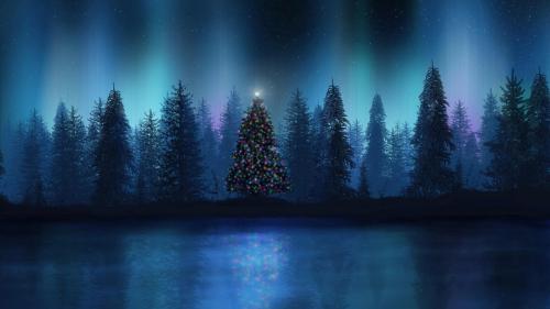 Рождественская елка в лесу