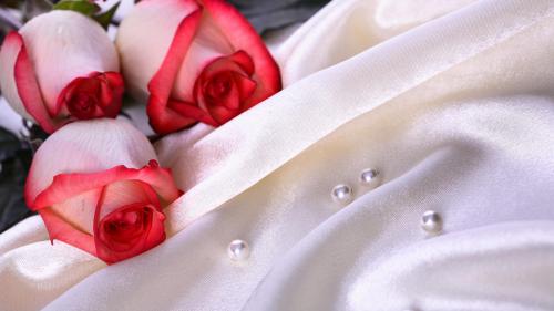 Свадебные фоны на рабочий стол скачать