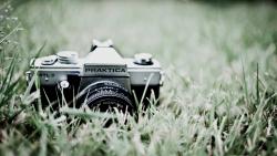 Старая фотокамера на траве картинки скачать