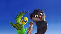 Трио в перьях, сова, Ольга, Кики, попугай, воробей, Ричи, птичка, птица, мультфильм, скачать, обои