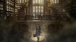 Фантастические звери и места их обитания по роману Джоан Роулинг