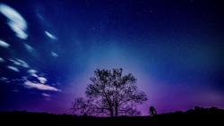 Фиолетовый закат пейзаж обои HD