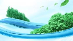 деревья на воде