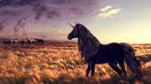 лошадь, единорог, гольф, искусство, трава, ветер, фоны, заставки