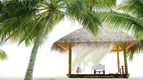 пальмы, пляж, бунгало