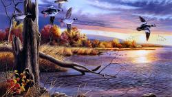 птицы, искусство, фотогалерея