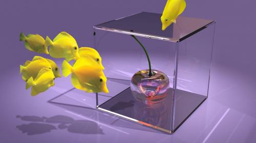 рыбки, куб, вишня, 3d