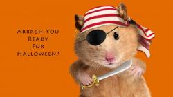 смешно хомяк-пират для Хэллоуина