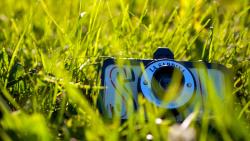 1920x1200, камера, зеленая трава