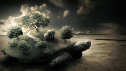 3D черепаха и слоны природа картинки для рабочего стола