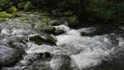 Beautiful water nature free Desktop wallpaper downloads