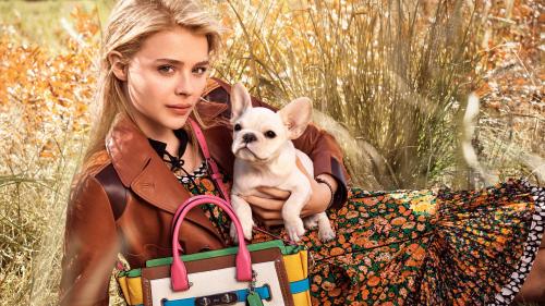 Chloe Grace Moretz wallpaper free hd