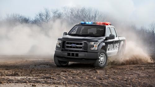 Ford F 150 Special Service Vehicle полицейский джип в пустыне обои HD