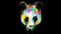 Free colorful panda face for Widescreen