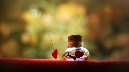 love prison wallpapers high resolution hd